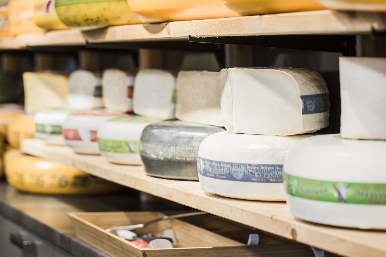 325_FvdS_Bruinsma_72dpi_MGL7933